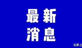 仙游今天爆料新闻最新,神秘事件背后真相揭晓！