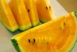 富富吃网红瓜,揭秘娱乐圈幕后故事