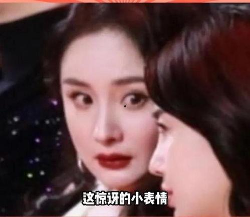 娱乐圈最新的瓜在哪里吃,揭秘各大平台瓜源汇总